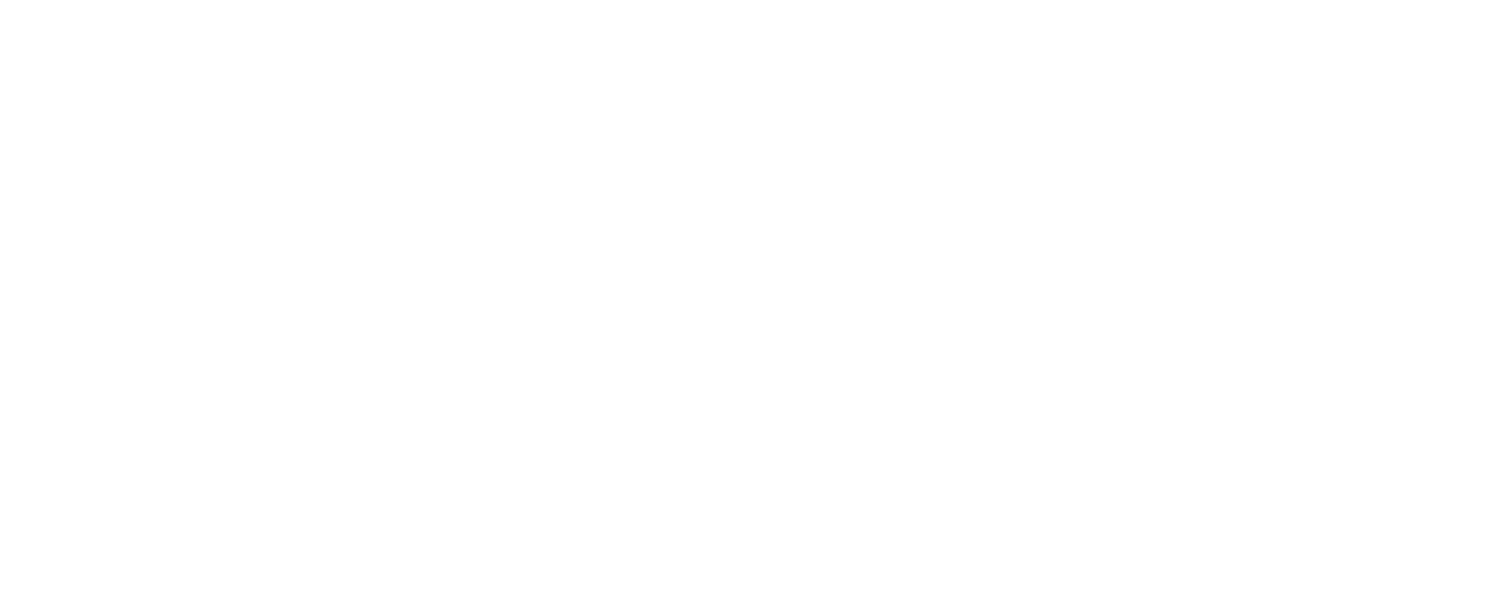 Compusafe Data Systems AG