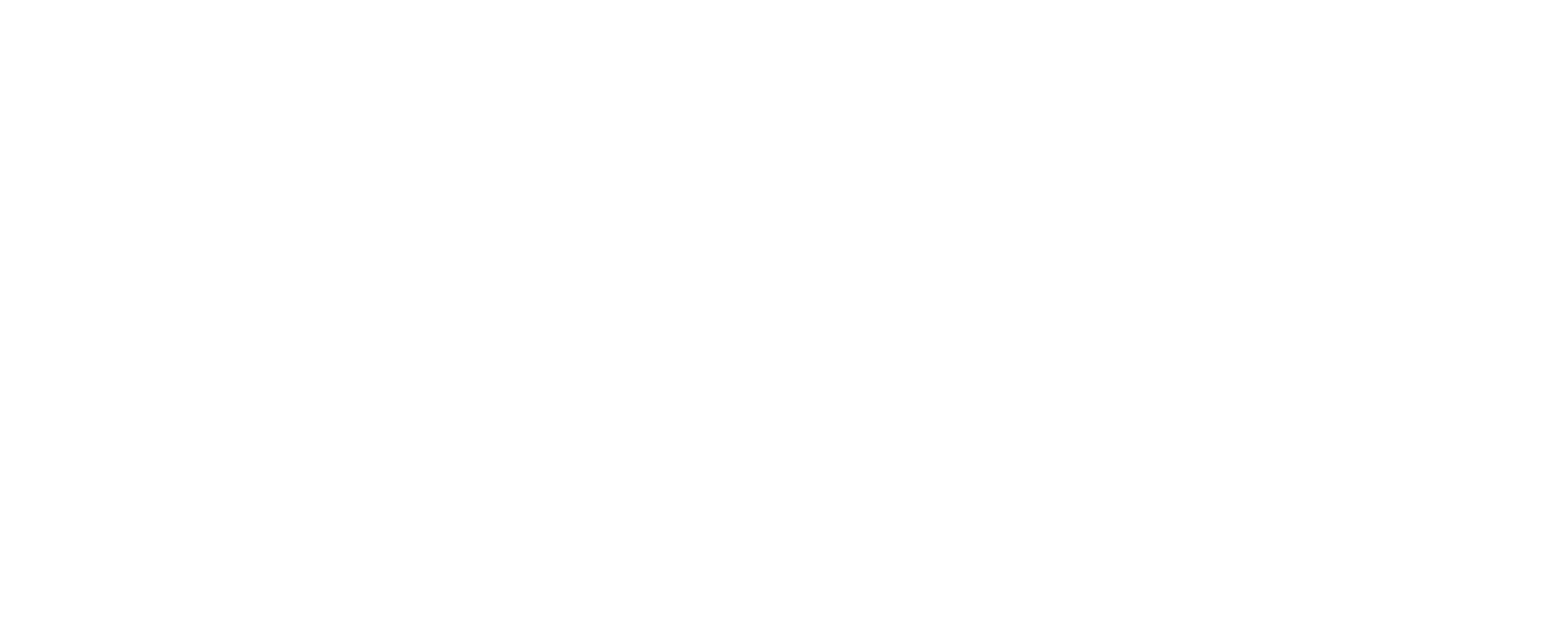 Compusafe Data Systems AG