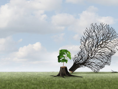Neuer Baum ersetzt alten Baum Legacy Transformation