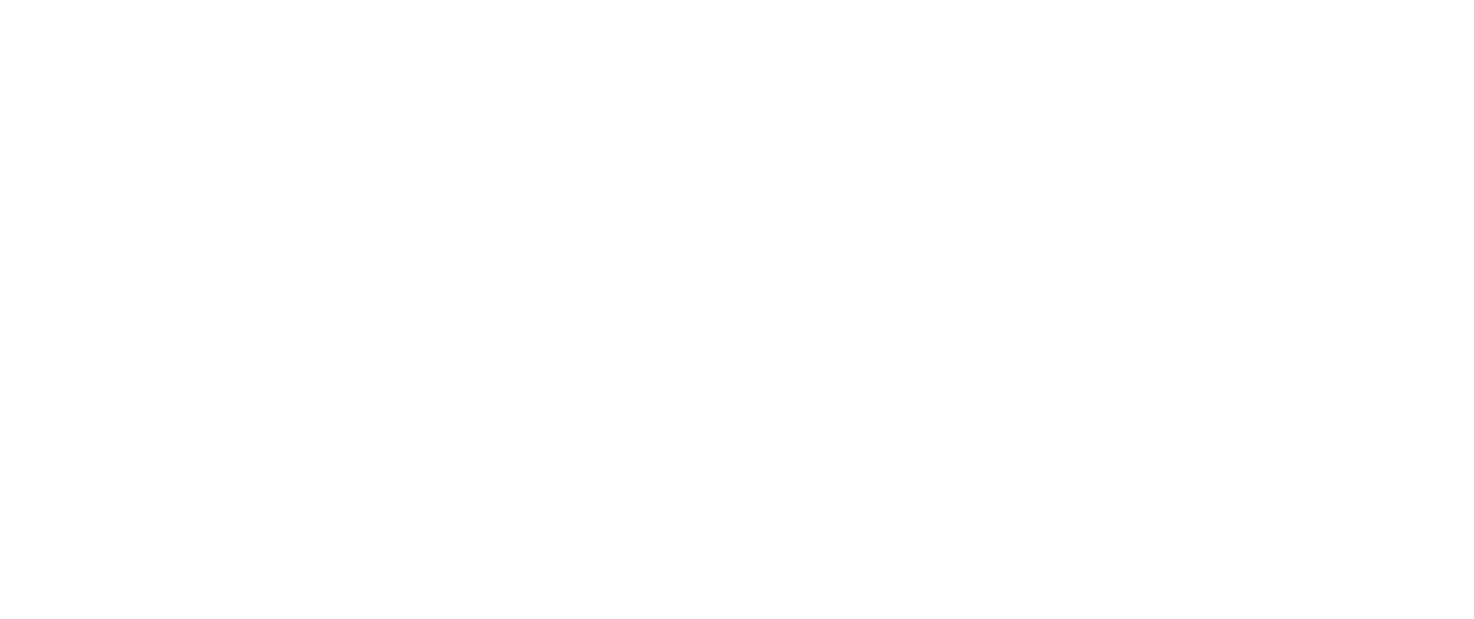 Compusafe