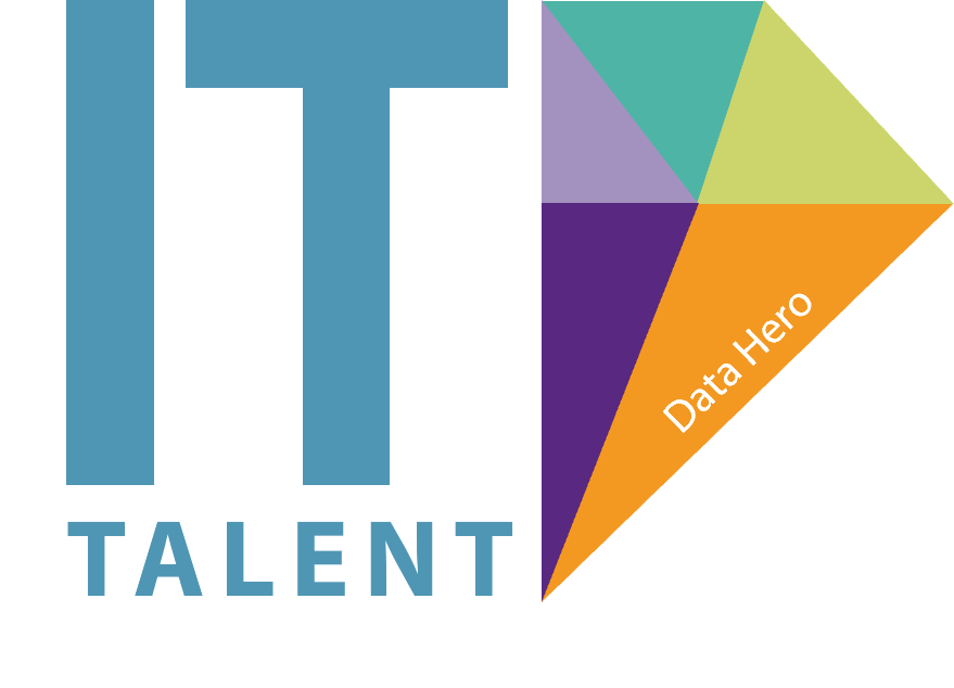 IT Talent Programm CompuSafe Data Hero Logo
