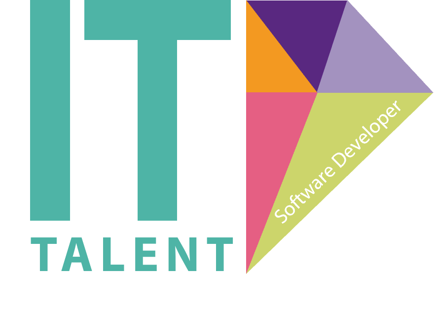 IT Talent Programm CompuSafe Software Developer Logo